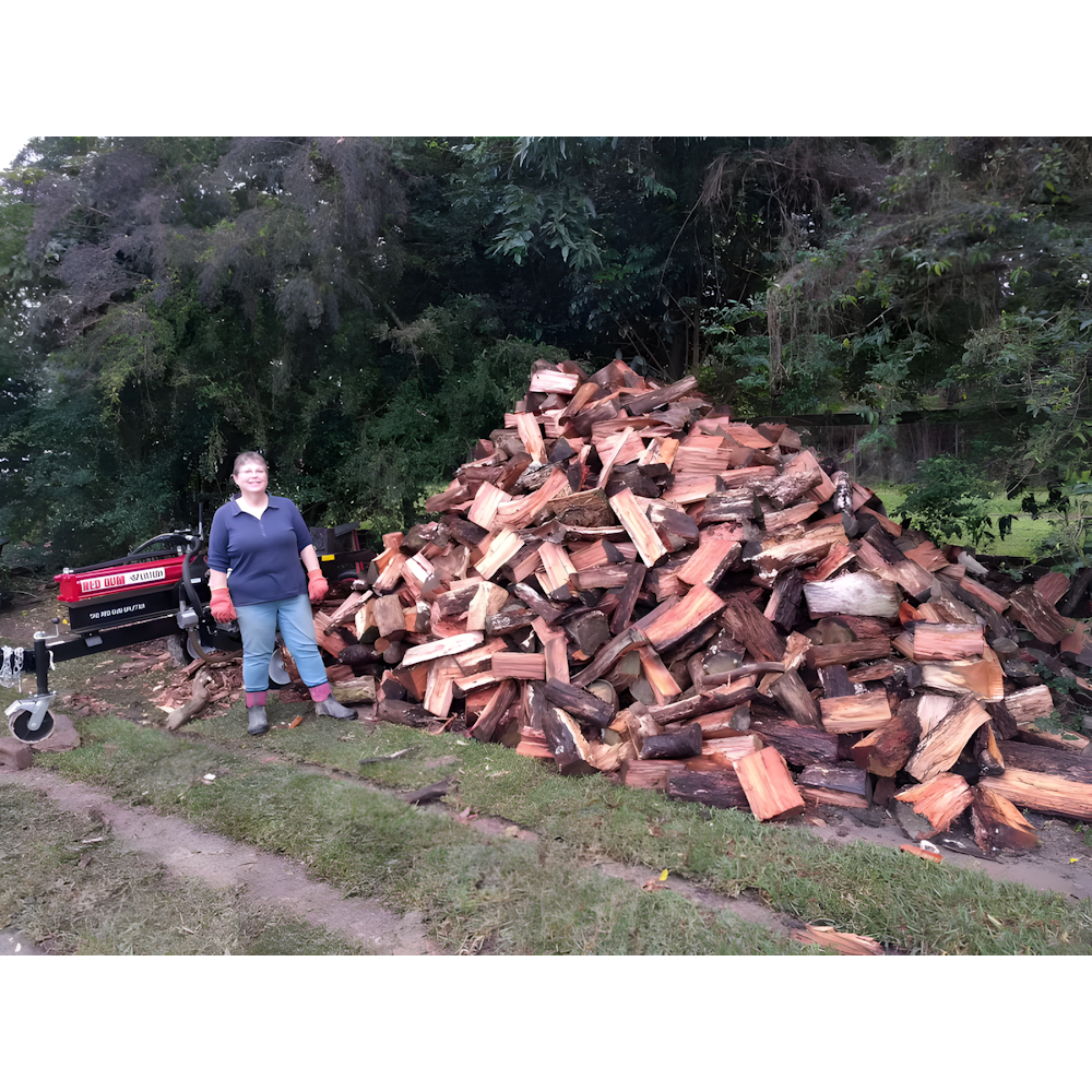 RedGum - 25000 SUPER V 25 Ton Lifter-Splitter